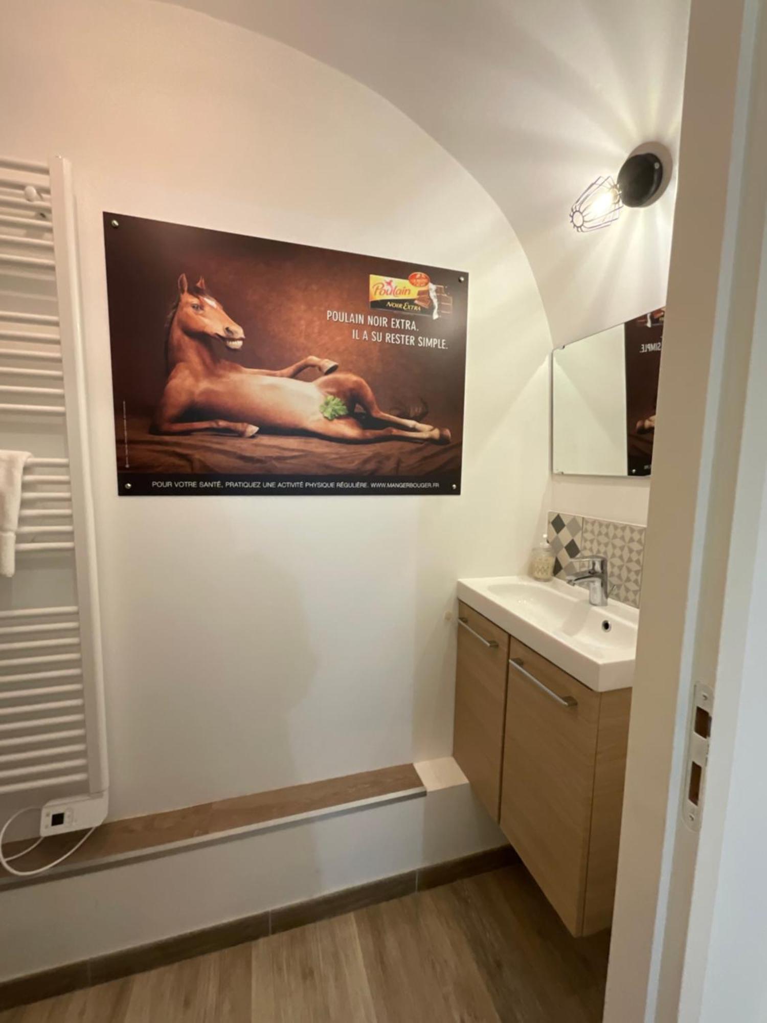 Appartement "Poulain" En Centre-Ville Linge Inclus Блуа Екстер'єр фото